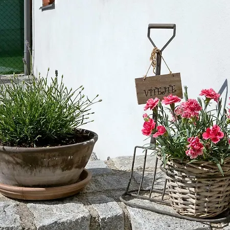 V Suchu Guest house