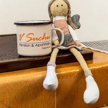 펜지온 V 수추 체스키크룸로프