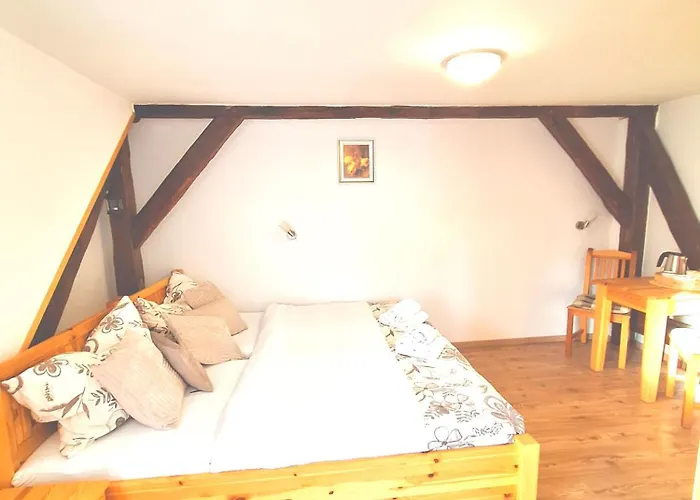 Gæstehus V Suchu 3*