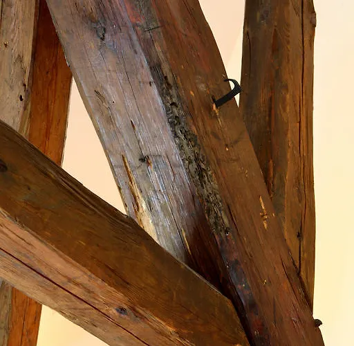 V Suchu Český Krumlov