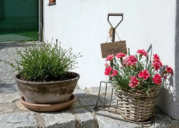 V Suchu Гостевой дом