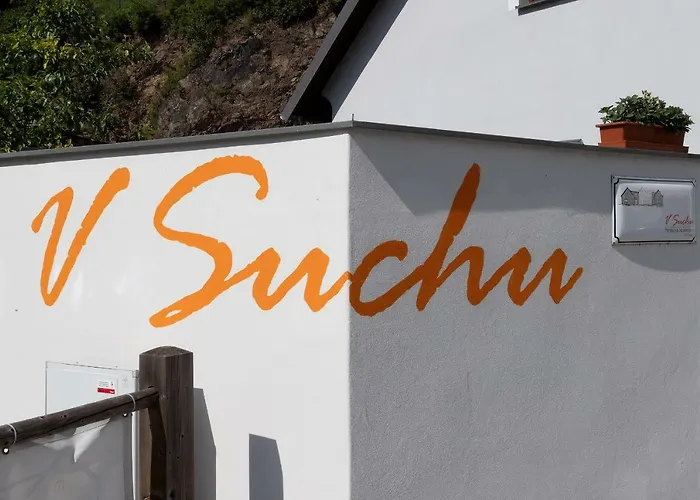 Гостевой дом V Suchu 3*